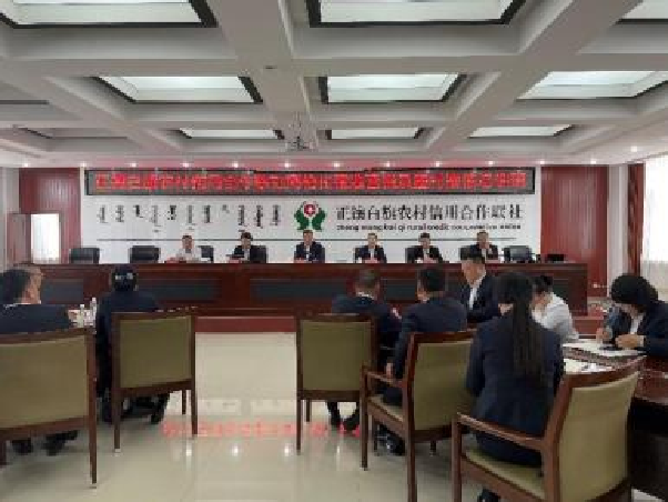 《综合外拓精准营销专项及全域授信辅导项目》